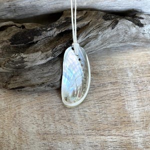 Shell Pendant Necklace, Natural Seashell Jewelry, Boho Beach Necklace, Coastal Gift for Her, Mermaid Necklace, Adjustable Cotton Cord.