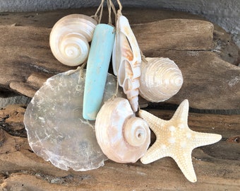 Beach Decor, Beach Ornament, Beach Ornament, Starfish Ornament, Shell Ornament, Starfish and Shell Ornament