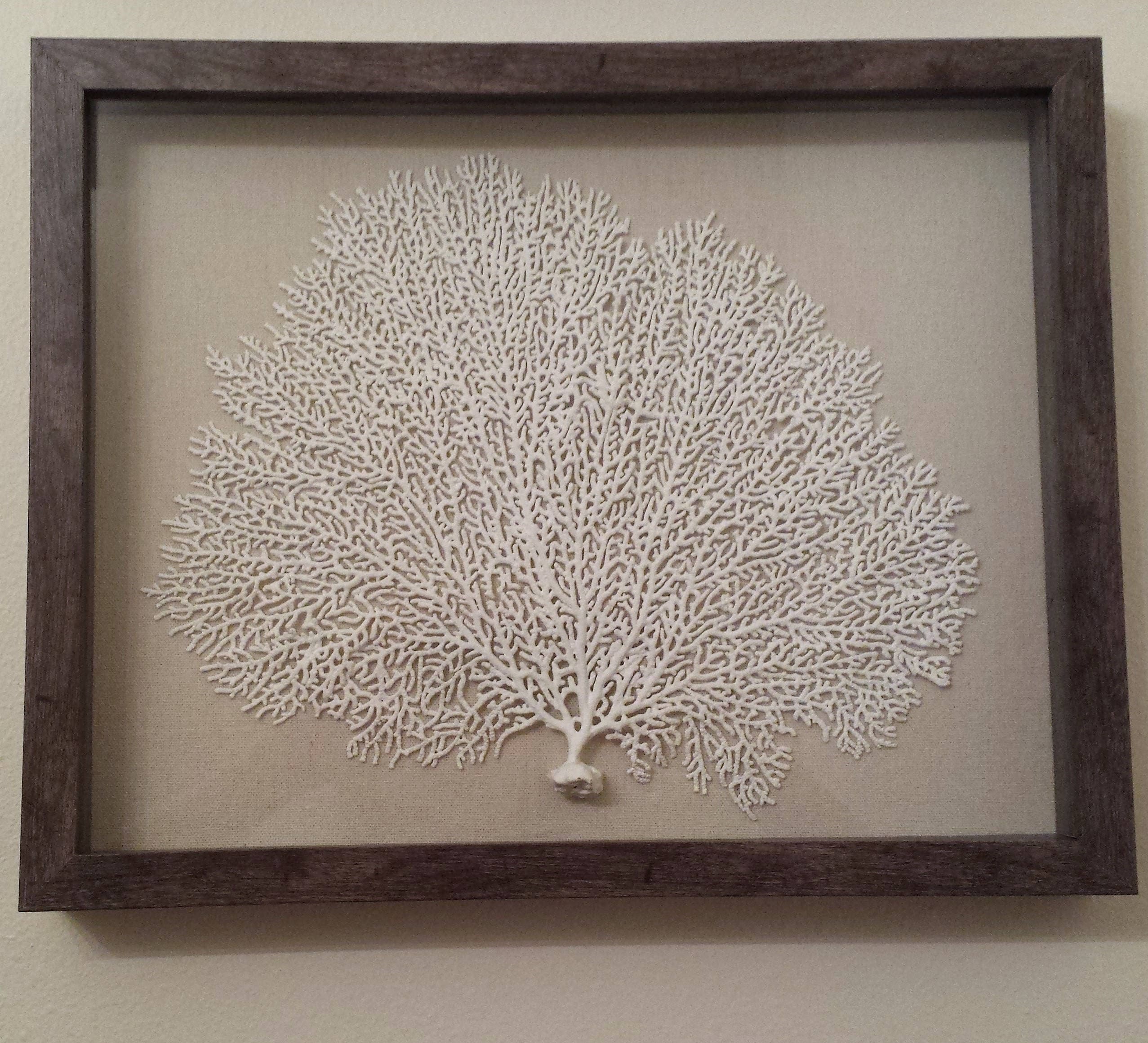 Beach House Decor Sea Fan Coastal Wall Art Sea Fan Coral | Etsy