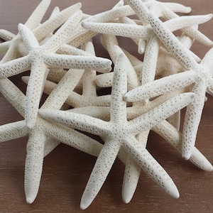 Starfish, Finger Starfish, Craft Starfish, Starfish Decor, Coastal Decor, Shells, Sea Shells, Wedding Starfish, Beach Decor