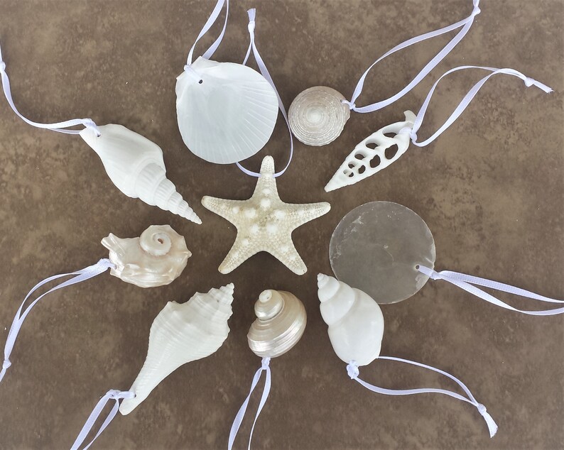 Coastal Christmas Ornament Coastal Ornament Beach Christmas Ornament Shell Ornament Shell and Starfish Ornaments Beach Decor