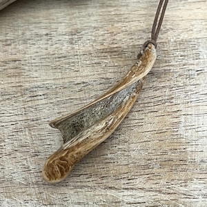 Shell Pendant Necklace, Natural Seashell Jewelry, Boho Beach Necklace, Coastal Gift for Her, Mermaid Necklace, Adjustable Cotton Cord.