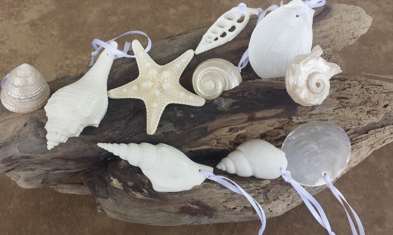 Coastal Christmas Ornament Coastal Ornament Beach Christmas Ornament Shell Ornament Shell and Starfish Ornaments Beach Decor