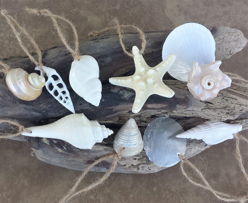 Coastal Christmas Ornament Coastal Ornament Beach Christmas Ornament Shell Ornament Shell and Starfish Ornaments Beach Decor