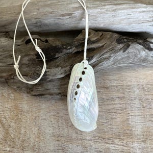 Shell Pendant Necklace, Natural Seashell Jewelry, Boho Beach Necklace, Coastal Gift for Her, Mermaid Necklace, Adjustable Cotton Cord.