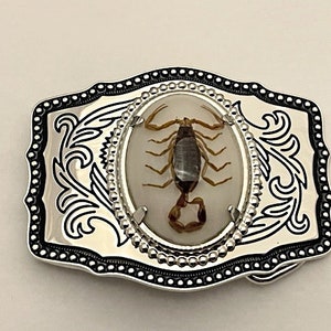 国内で当店のみ RICHILL - The Scorpion Belt RICHILL The Scorpion Belt