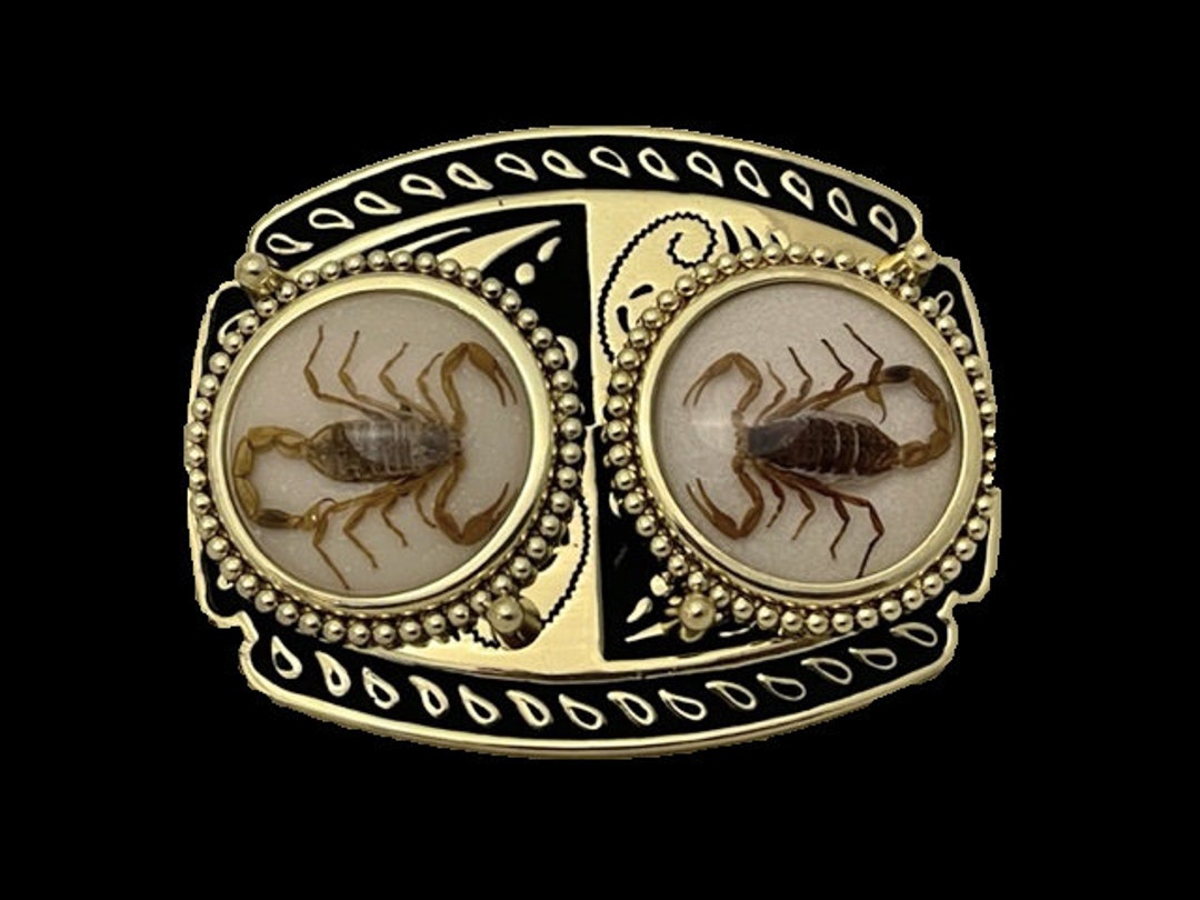 Real Scorpion Belt Buckle Solid, Great Quality gold Tone Etsy