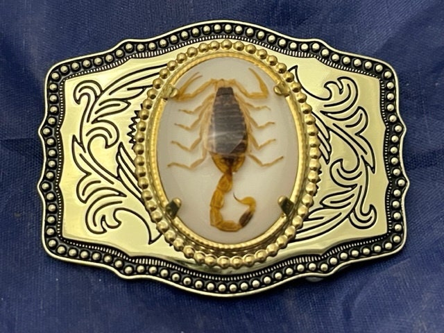 Mexico scorpion belt - Etsy 日本