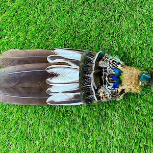 Bald Eagle Ceremonial Smudge Fan. Large Genuine Bald Eagle Feather Fan. Superior Shaman Feather Fan. 20” Long. With Labradorite.