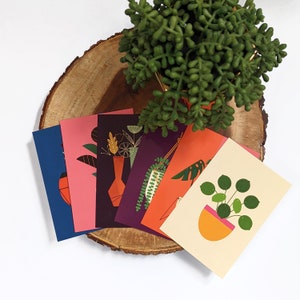 Set of 6 Unique Plants and Flowers 4x6 Postcard Set packaged in compostable bag