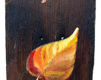 Fall leaves on cedar shake, rustic