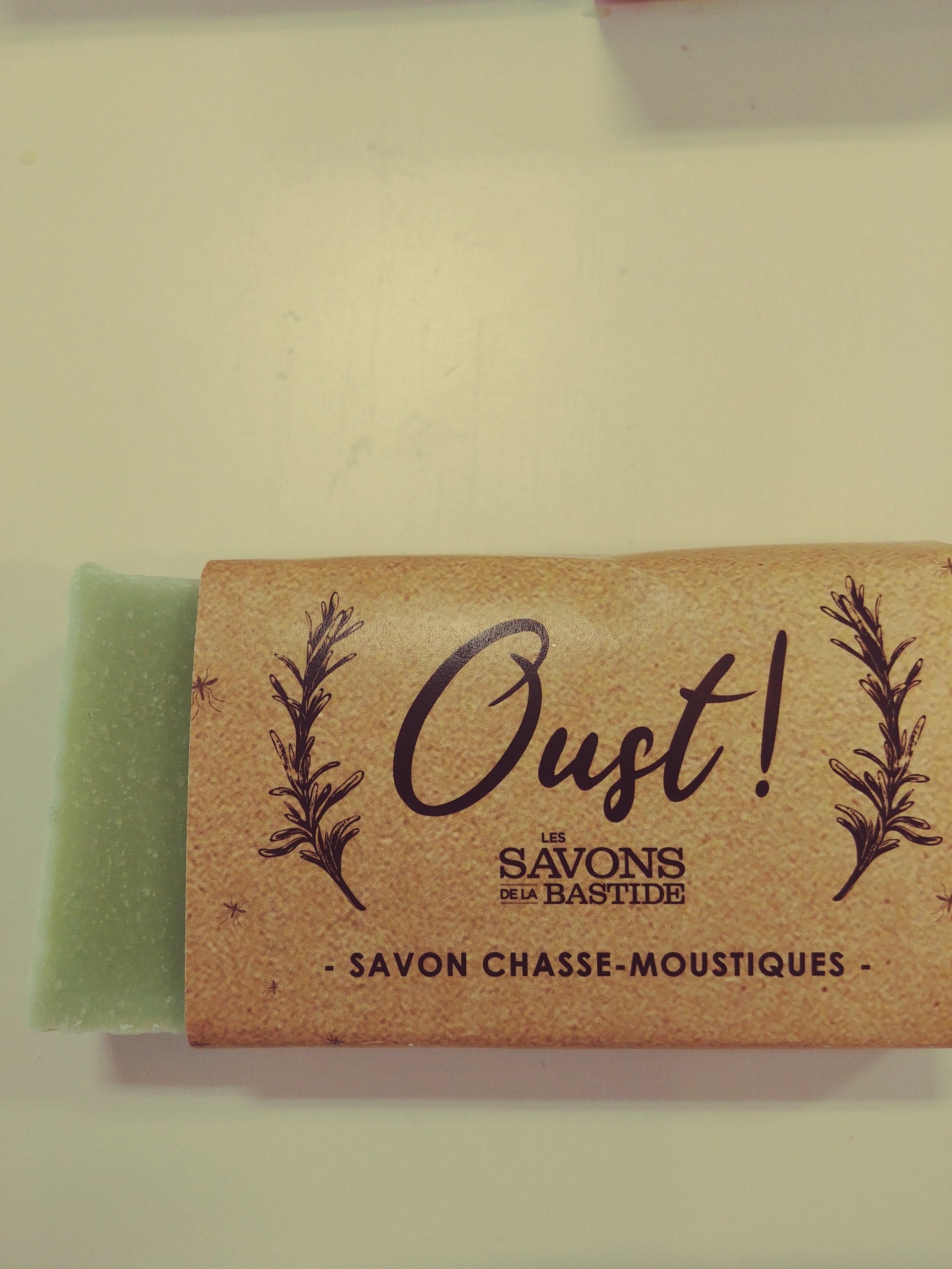 Outdoor soap and mosquito repellent with mosquito repellent Etsy