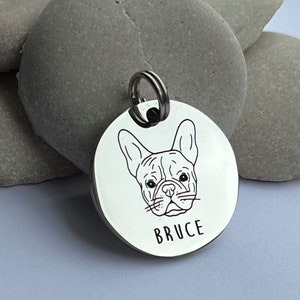 Dog Tag, Pet ID, Microchip Dog Tag, Puppy Tag, Custom Dog Tag, Engraved Stainless Steel, Personalized Pet ID Tag, Name Tag, Puppy ID