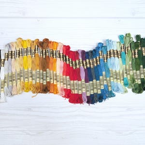 Filo da ricamo DMC a sei capi - Matassa singola - Scegli il tuo colore