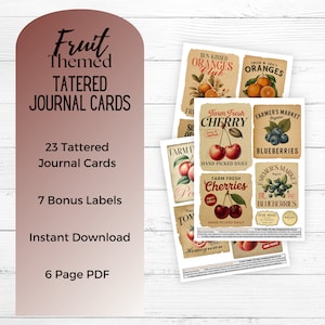 Kit de 30 cartes de journal sur le thème des fruits et kit d'étiquettes, cartes de journal en lambeaux, éphémères de journal indésirable, éphémères de fruits, fraise, myrtille