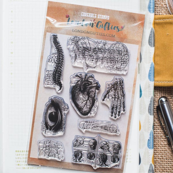 Vintage anatomy clear stamp set - decorative planner stamps suitable for any planner -AL3-