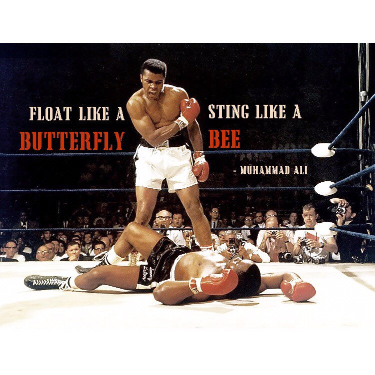 Muhammad Ali Poster Print Famous Boxing Quote Float Like A Etsy Muhammad Ali Poster Print Famous Boxing Quote Float Like A Etsy