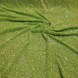 以下が含まれることがあります： 緑色の生地に虹色のスパンコールが施されています。スパンコールは小さく、ぎっしりと詰まっており、キラキラと輝いています。