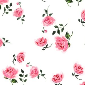 Classic Garden Rose White Gift Wrap {Christmas, Holiday, Birthday, Gift Wrap}