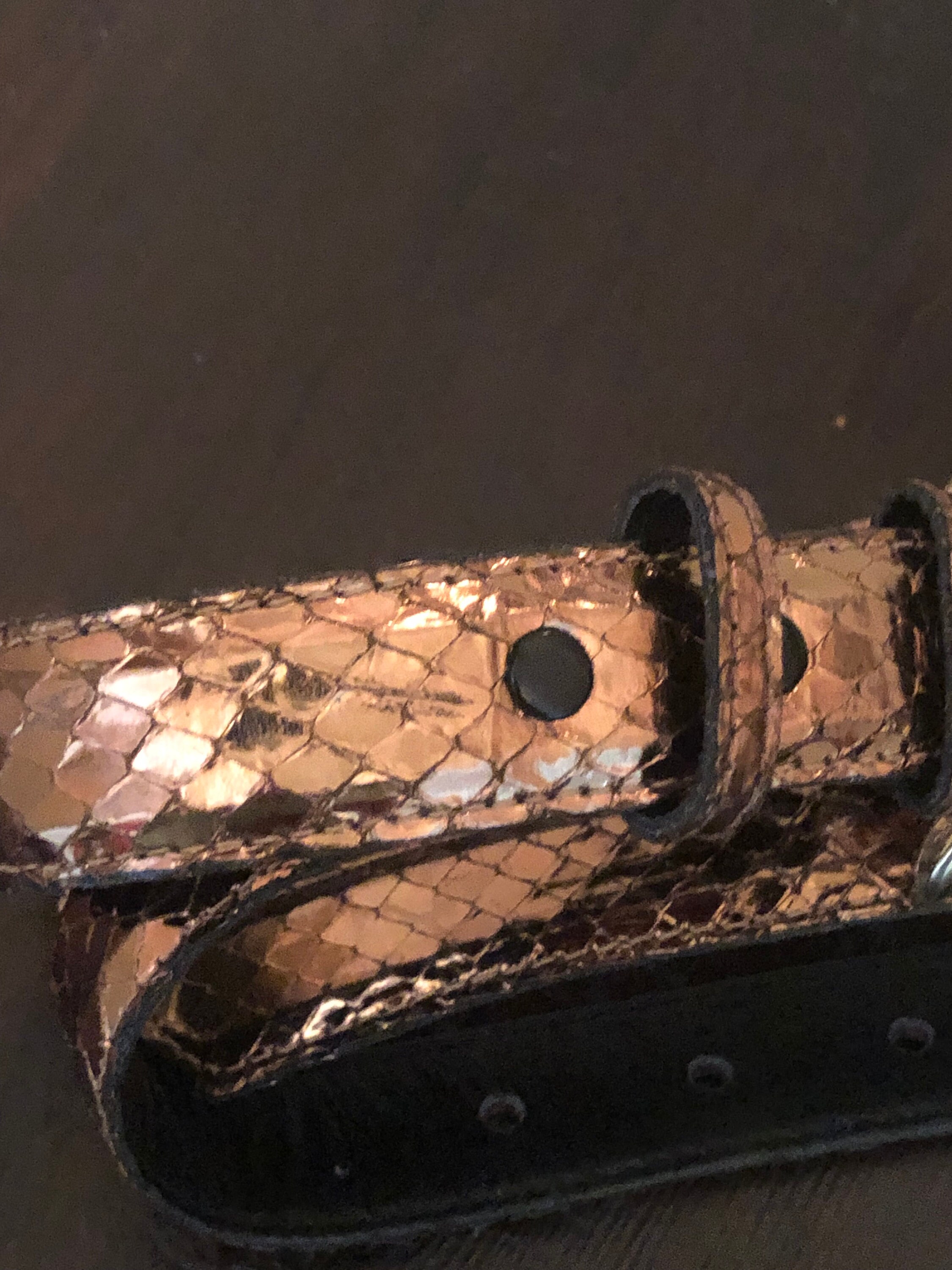 Gold Genuine Snakeskin Belt VINTAGE Apple Acc of NY - Etsy display picture 1