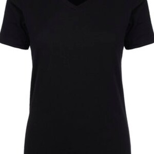 May include: A black v-neck t-shirt with short sleeves.