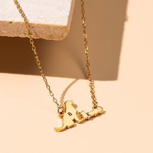 May include: Gold necklace with a dog and cat silhouette pendant. The pendant has the letters "B" and "K" engraved on it.