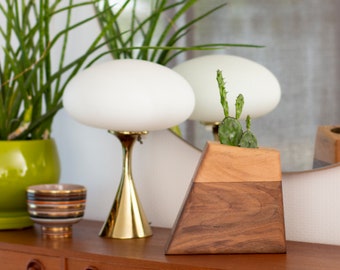 Walnut & Sycamore Cremation Urn Planter: Modern Memorial