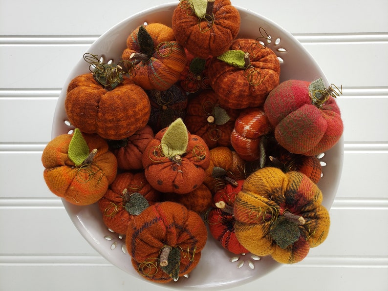 May include: A white bowl filled with handmade fabric pumpkins in various shades of orange, red, and brown. The pumpkins have a rustic, homespun look and are perfect for fall decor.