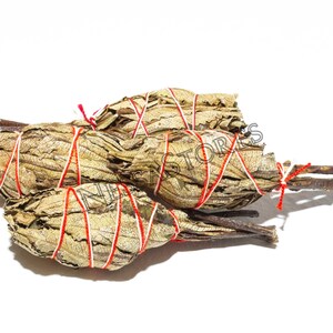 Yerba Santa Smudge Räucherstäbchen 3&quot;-4&quot; Bundle (4 Stk) #JC-93