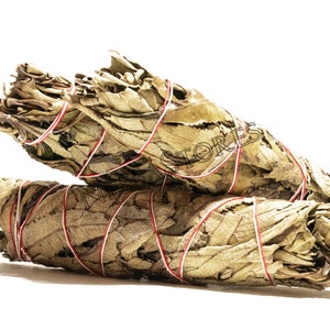 Yerba Santa Smudge Räucherstäbchen 8&quot;-9&quot; Bundle (3 Stk) #JC-88