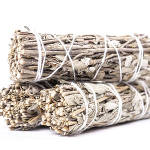 NessaStores Royal Sage Salvia Officinalis Real Smudge Incense 4&quot; Bundle (3 pcs) #JC-146
