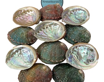 NessaStores Abalone Shells 2.5 to 3.5 Inches | Beautiful All Natural Smudge Bowl - Perfect for Incense Sticks and a Sage Smudge Kit. #JC-020