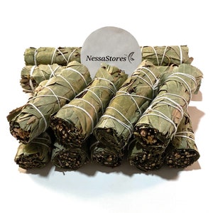 NessaStores- Bay Leaves Smudge Stick 4&quot; Bundle (3 pcs) #JC-169