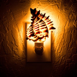 NessaStores- Black Murex Sea Shell Nightlight Kitchen Bathroom Beach Home Decor Craft ( 1 pc) #JC-033