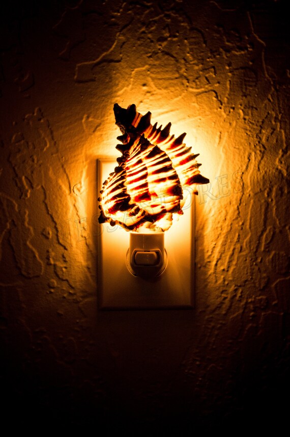Florida Shells & Gifts Real Pink Murex Seashell Night Light - LED Warm White - Wall Plug-in