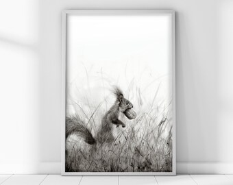 Woodland Squirrel Giclée Print, Monochrome Charcoal Drawing
