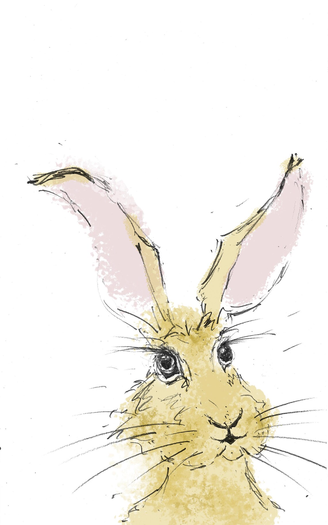 50 Rabbits Bunnies Hares Custom Names Baby Kids Children's Etsy