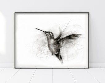 Hummingbird Glicée Print, Black & White Bird Picture, Wildlife charcoal drawing, Fine Art Poster, Living room wall decor,