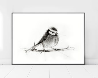 Bluetit Bird Print, Minimalist Black & White Drawing, Fine Art Wildlife Picture, Charcoal bird, Animal Sketch, Modern Living Room Decor