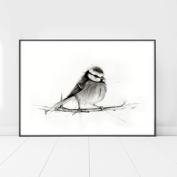 Bluetit Bird Print, Minimalist Black & White Drawing, Fine Art Wildlife Picture, Charcoal bird, Animal Sketch, Modern Living Room Decor