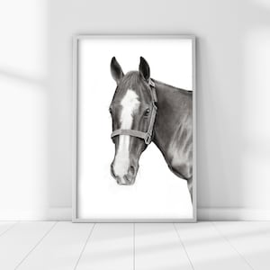 Charcoal Horse Drawing Print, Black and White Equestrian Art, Monochrome Wall Print, Poster Picture, Sketch
