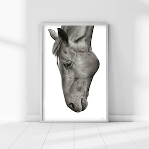 Charcoal Horse Drawing Print, Black and White Equestrian Art, Monochrome Wall Print, Poster Picture, Sketch