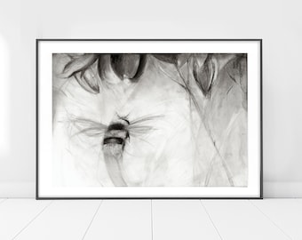 Bumble Bee Charcoal Drawing, Black and White Giclée Print