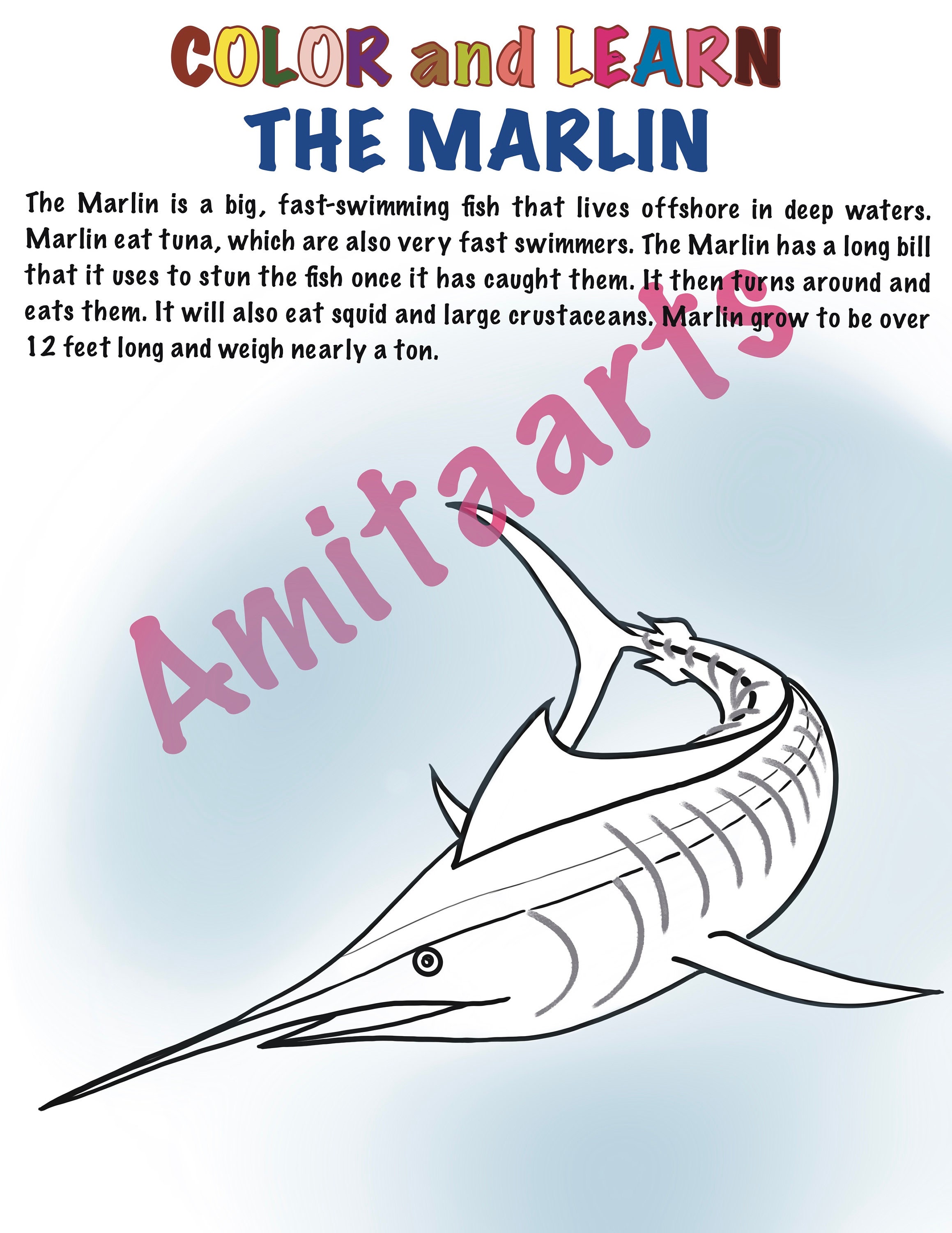 10 Sea Creatures Printable Coloring Pages Instant Download - Etsy Australia