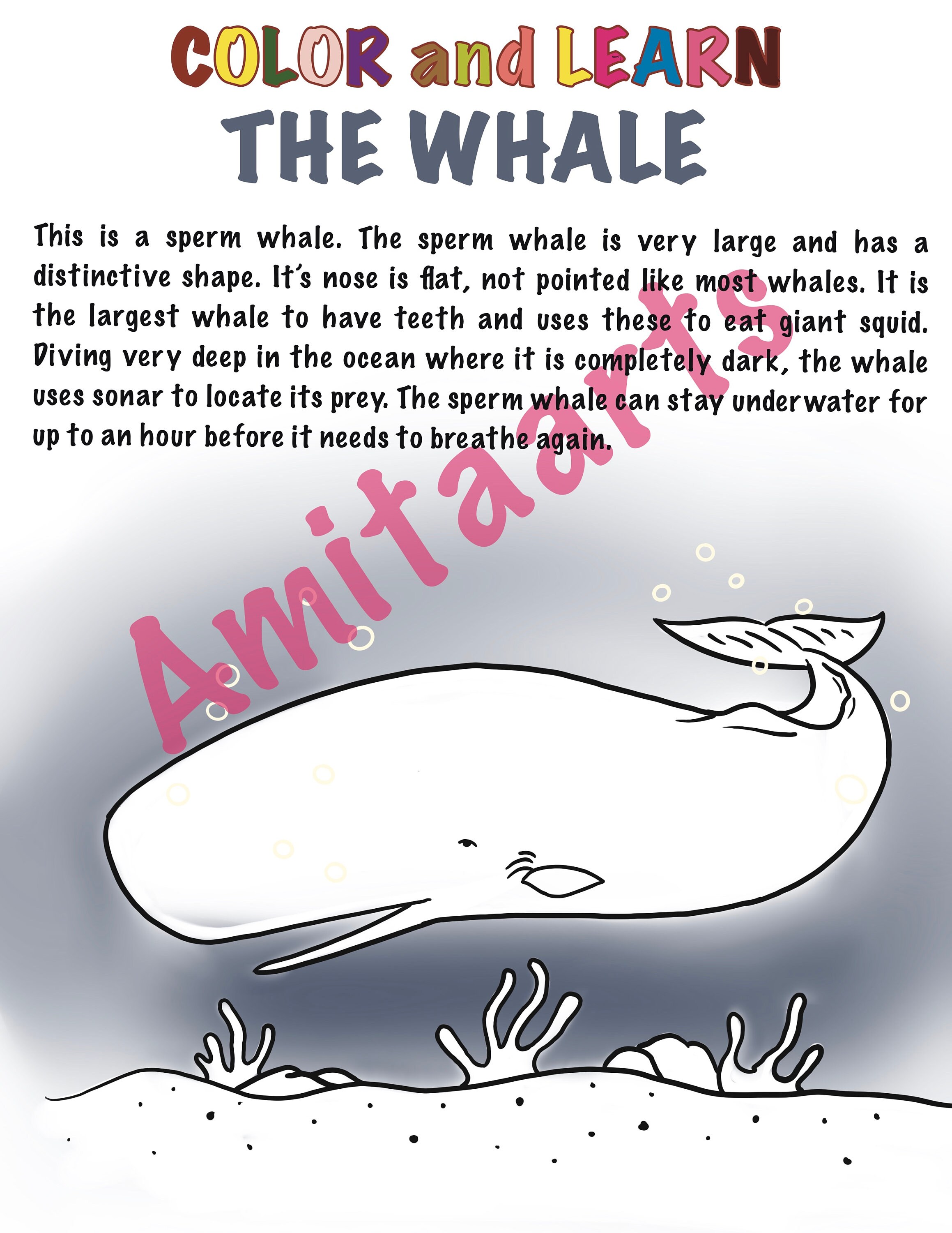 10 Sea Creatures Printable Coloring Pages Instant Download Color and ...