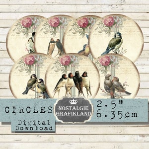 Vögel Shabby Chic Scrapbooking Junk Journals Kreise 6,3 cm Instant Download digital collage sheet C104