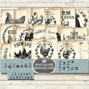 Fazenda Quadrados Galo Galinha Ovos Frescos 2x2 polegadas Country Baixe folha de colagem digital TW168