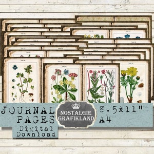 BOTANICAL German Flora Journal Pages Vintage Botanic Floral Garden Botany Ephemera printable Download digital collage sheet JPB017