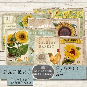 TOURNESOLS papiers imprimables paysage horizontal Fleurs Journaling Scrapbook Télécharger feuilles numériques 11 x 8,5 pouces PPHE001