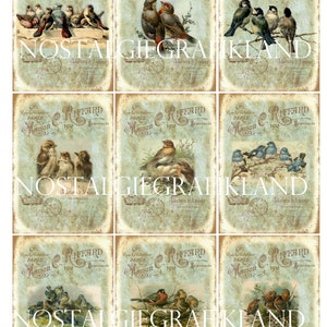 Birds printable digital Labels Vintage Robin Nest ATC Journaling Journals Scrapbook prints Instant Download digital collage sheet S118 image 3